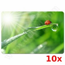 Подложка за мишка Esperanza, EA133-02, 235x195mm, 10бр.