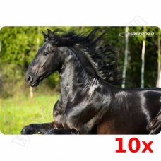 Подложка за мишка Esperanza, EA133-09, 235x195mm, 10бр.