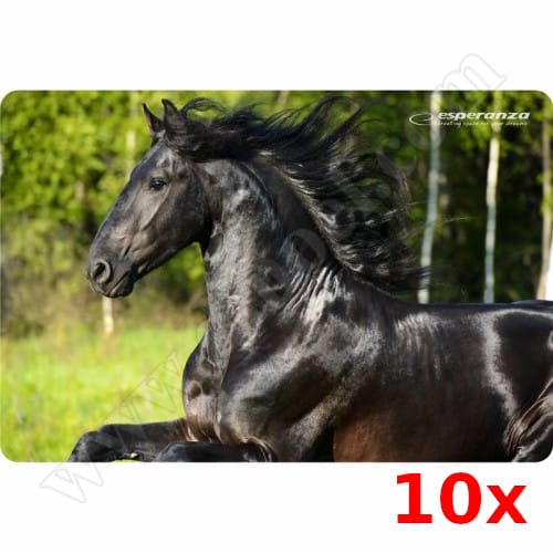 Подложка за мишка Esperanza, EA133-09, 235x195mm, 10бр.